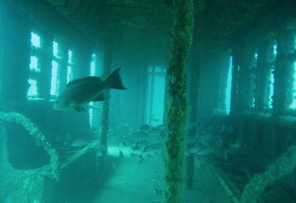 An old recycled bridge now sleeps with the fishes