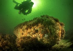We’ve Made A Mess on the Floor - the Seafloor