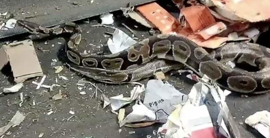 A Recycling Surprise in Surprise