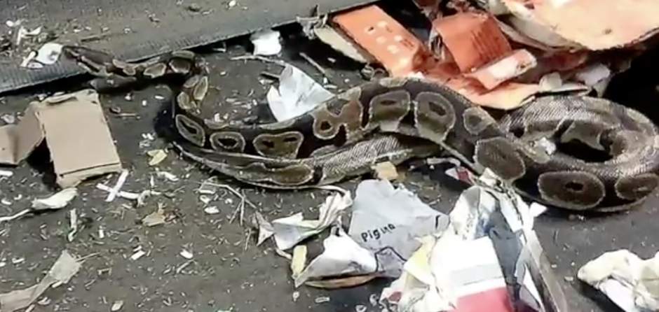 A Recycling Surprise in Surprise